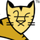 张利强's avatar